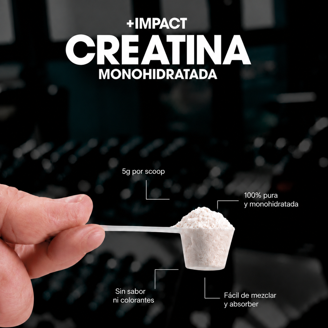 Creatina Monohidratada en Polvo 500g, 100% Vegano
